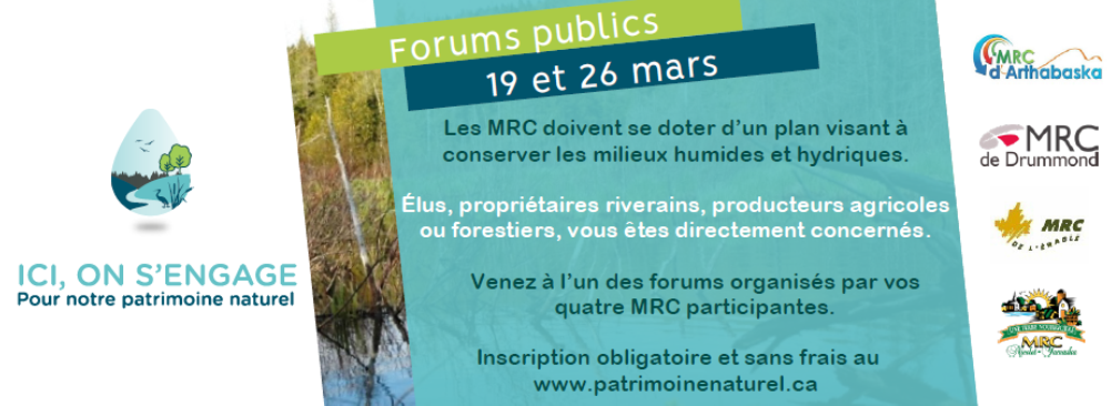 Plan régional des milieux humides et hydriques